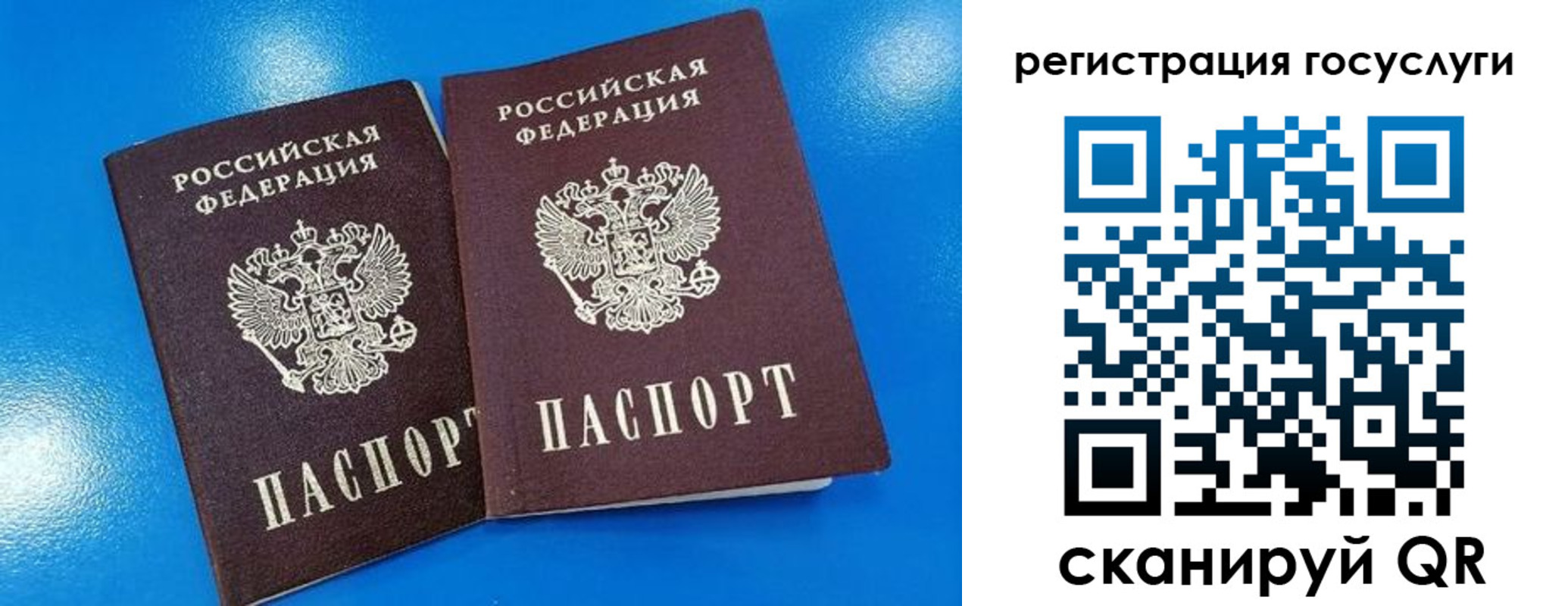 регистрация в Александровске-Сахалинском